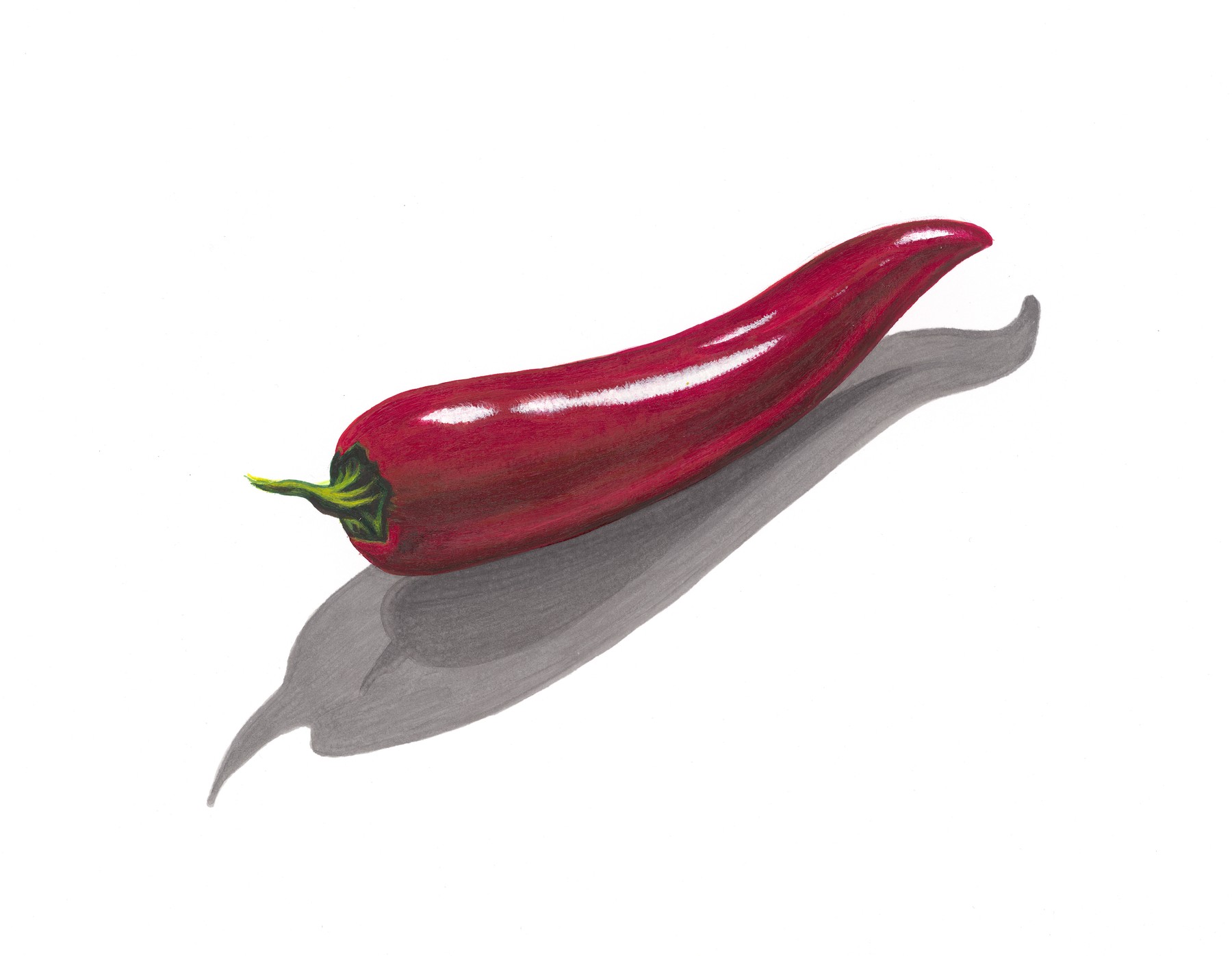 A curved crimson chilli pepper with a green stem casting a long shadow across a white surface.